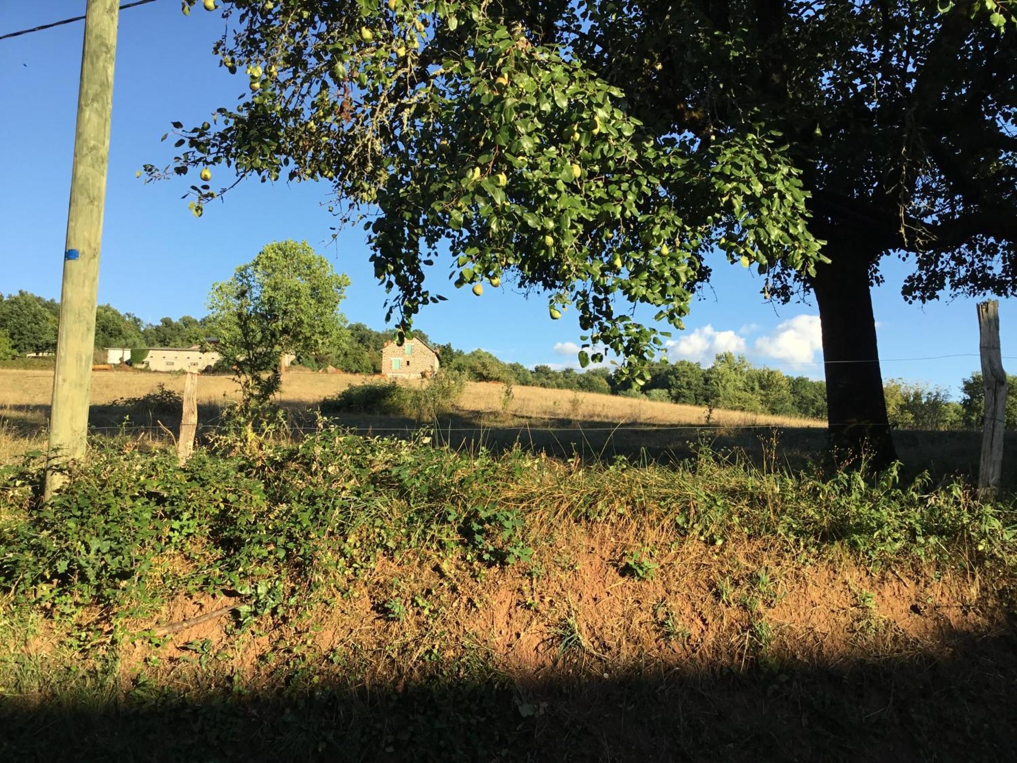 Le Clos De Rose Ussac Exteriör bild